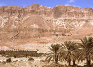 picture-of-judean-desert