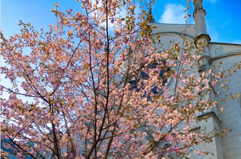 Lire la suite à propos de l’article Le Sacré-Coeur, salut de la France